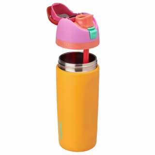 Owala 16oz Kids' Free Sip Stainless Steel Water Bottle - Tropical