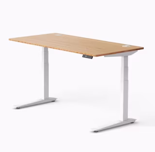 Fully Jarvis Bamboo Standing Desk