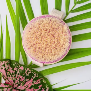 EcoTools Dry Body Brush