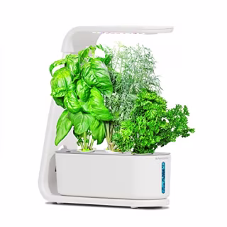 AeroGarden Harvest with Gourmet Herb Seed Pod Kit - Hydroponic Indoor Garden, White