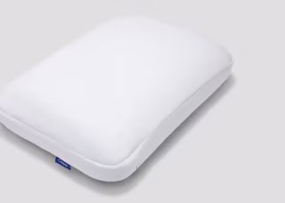 Hybrid Pillow