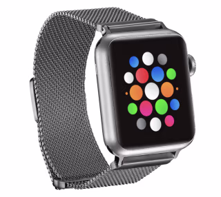 Platinum Magnetic Stainless Steel Mesh Band