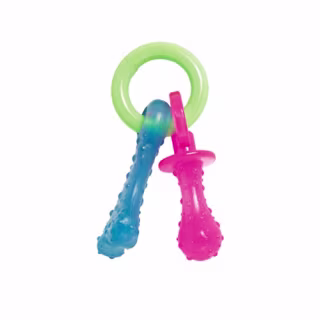 Nylabone Puppy Teething Chew Toys