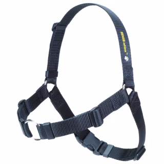 SENSE-ation Dog Harness