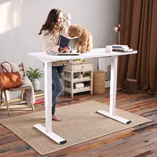 Flexispot Electric Standing Desk