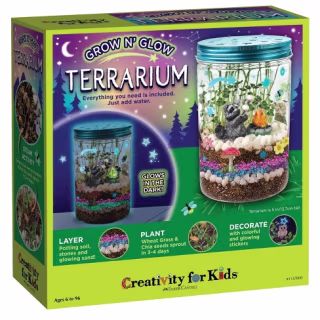 Creativity for Kids Grow 'n Glow Terrarium