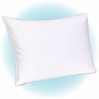 FluffCo Down Alternative Pillow, Standard Pillow, Pillows for Sleeping, Queen Pillows, Bed Pillows, Side Sleeper Pillow, Cooling Pillow, Hotel Pillow, Neck Pillow, Travel Pillow (Standard Soft)
