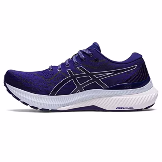 Gel Kayano 29