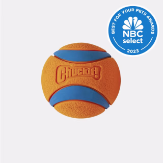 Chuckit Ultra Ball