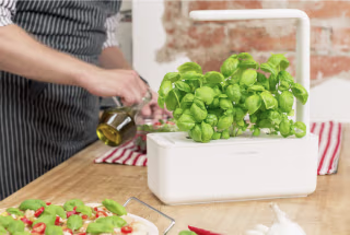 Click & Grow Smart Garden 3 Self Watering Indoor Garden