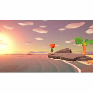 Animal Crossing: New Horizons