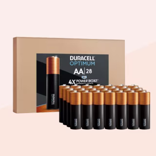 AA Batteries (Pack of 28)