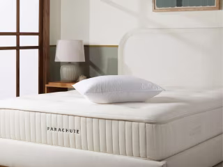 Down Pillow