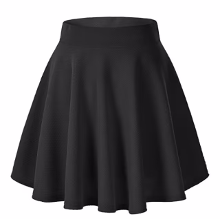Casual Mini Skater Skirt