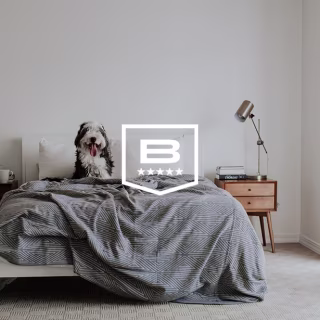 Original Stretch(TM) Blanket