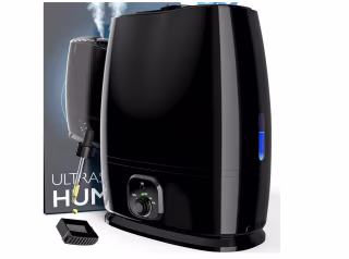 Everlasting Comfort Mist Humidifier