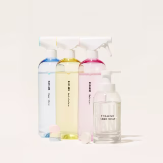 Blueland Eco-Friendly Cleaning Products