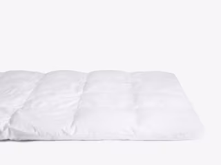 Parachute Down Alternative Queen Mattress Topper