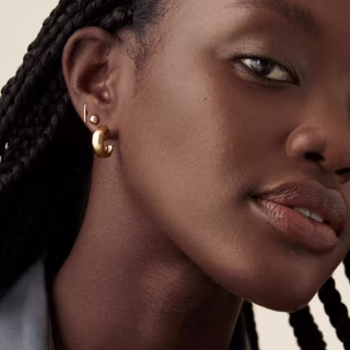Dôme Hoops