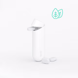 Quip Mint Starter Kit