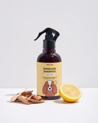 Wild One Rinseless Shampoo