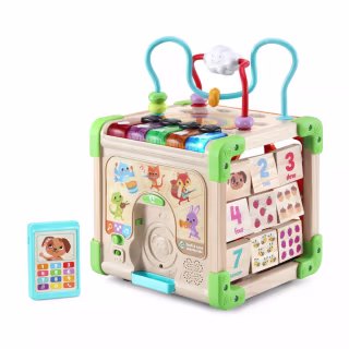 LeapFrog Touch & Learn Wooden Activity Cube
