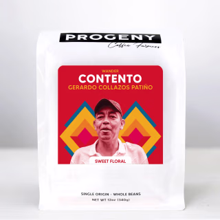 Progeny Coffee Contento Whole Bean Coffee