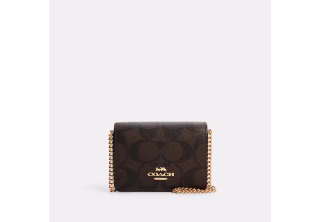Mini Wallet On A Chain In Signature Canvas