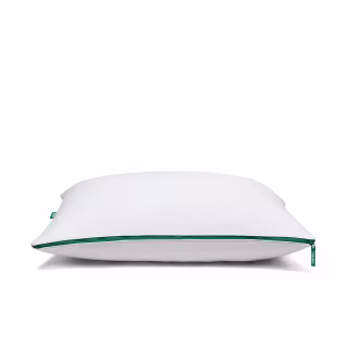 The Pillow (2-pack)