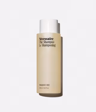 The Shampoo