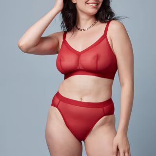 Harper Wilde Luxe Mesh Triangle Bralette