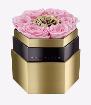 Light Pink and Gold Roses