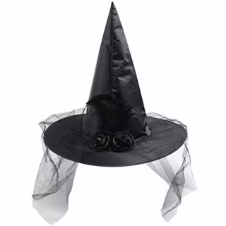 Halloween Witch Hat