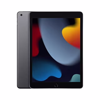 Apple iPad (9th Gen)
