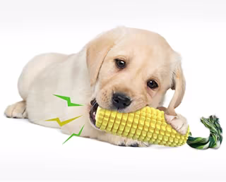 Carllg Corn Stick Chew Toy