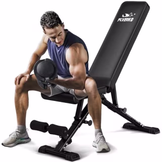 Flybird Weight Bench