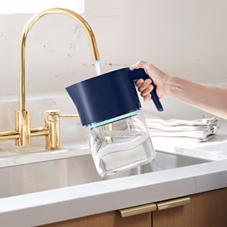 LARQ Pitcher PureVis