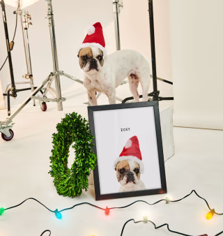 West & Willow Custom Pet Portraits