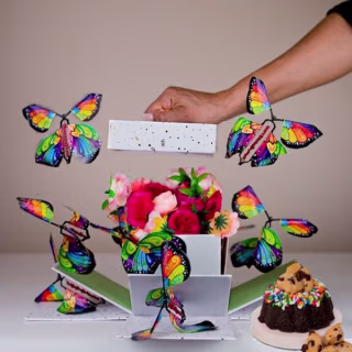 Send a Cake Surprise Cake Explosion Box Gift