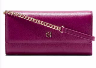 Cole Haan Leather Wallet on a Chain