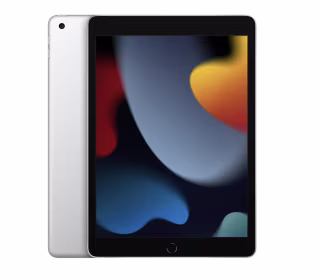 Apple 10.2-inch iPad 256 GB