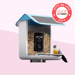 Video Camera Bird Feeder
