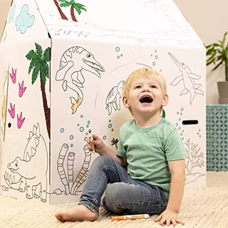 Cardboard Dinosaur House 