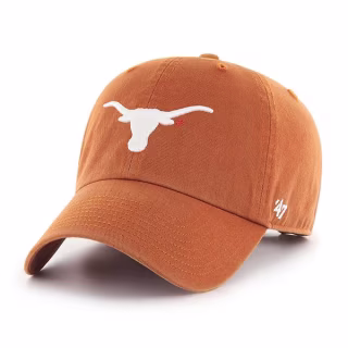 Clean Up Ballcap 