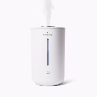 Hey Dewy Wellness Humidifier