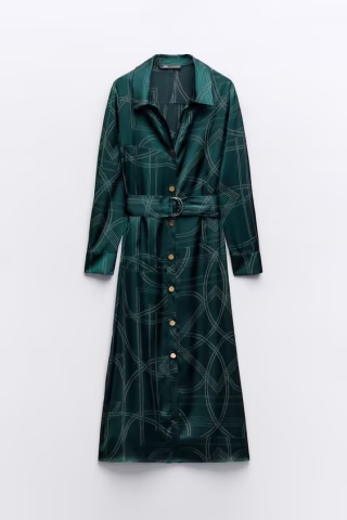 Printed Shirt Dress