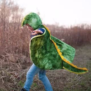 Dinosaur Dress Up Capes