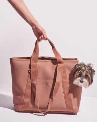 Wild One Everyday Carrier