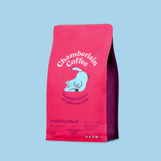 Chamberlain Coffee Social Dog Medium Roast Coffee Bag