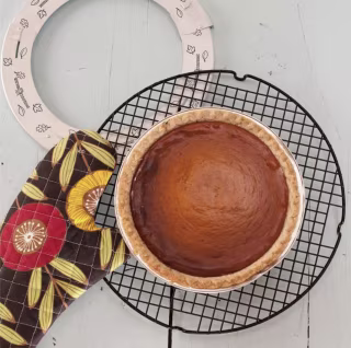 Adjustable Pie Shield